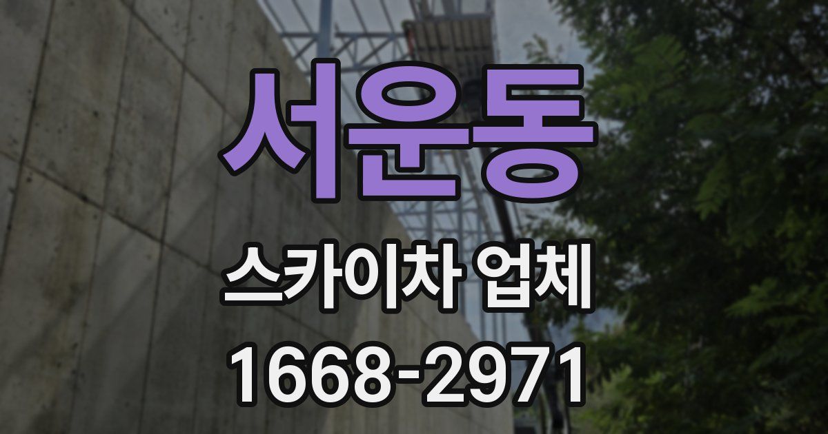 서운동 스카이차 업체