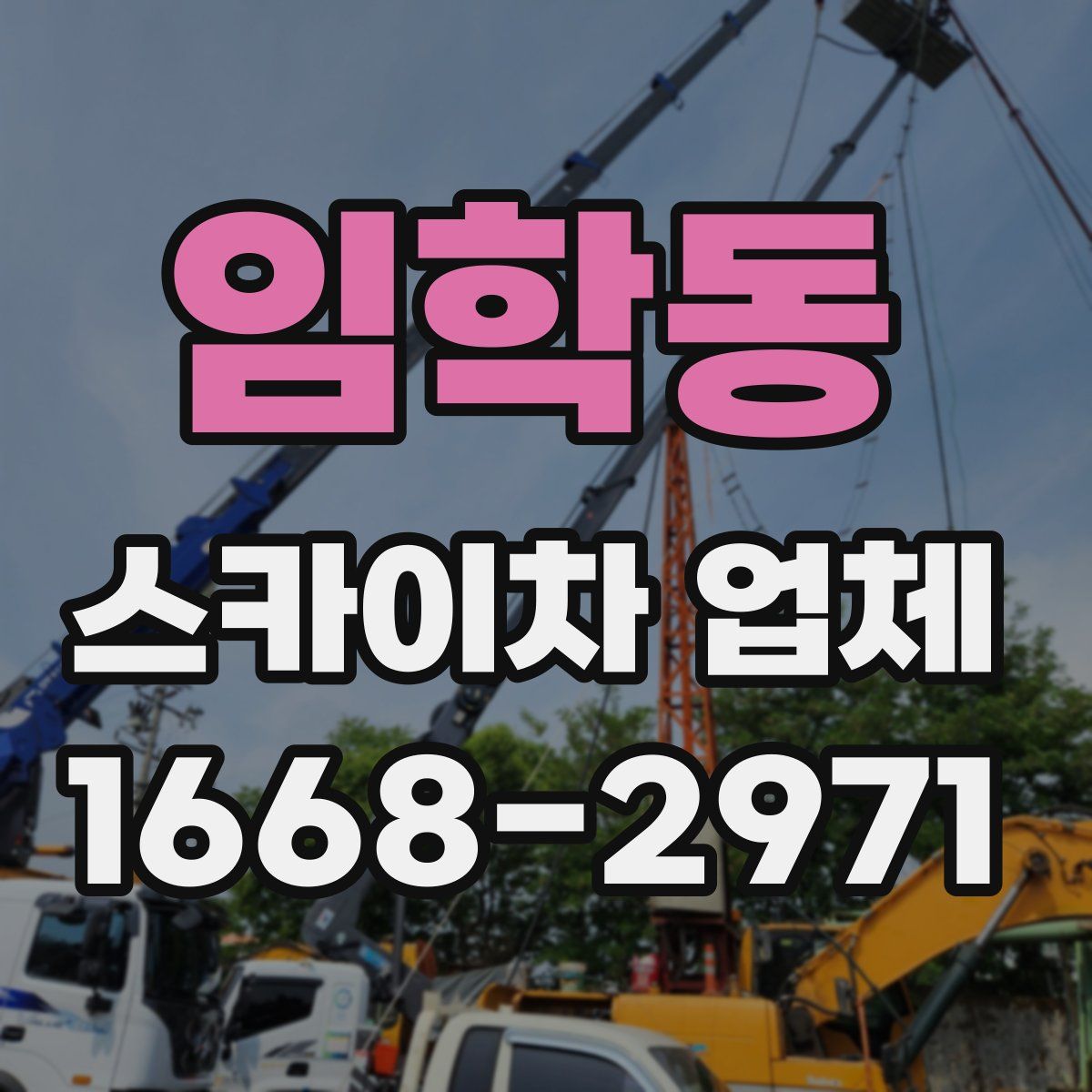 임학동 스카이차 업체