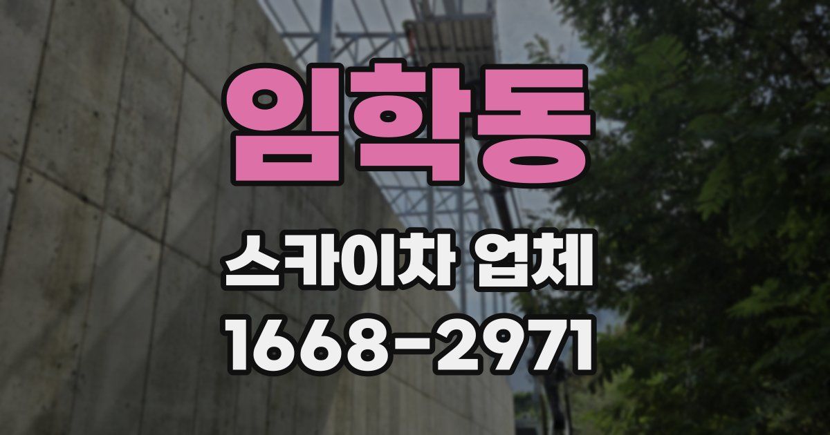 임학동 스카이차 업체