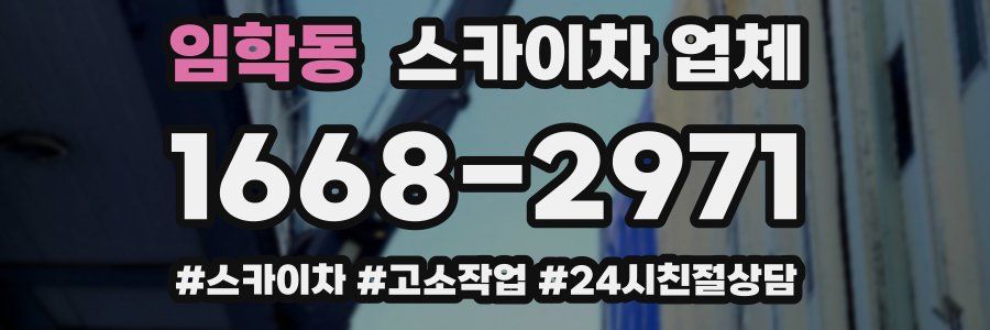 임학동 스카이차 업체