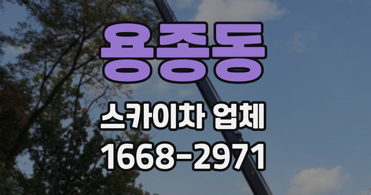 용종동 스카이차 업체
