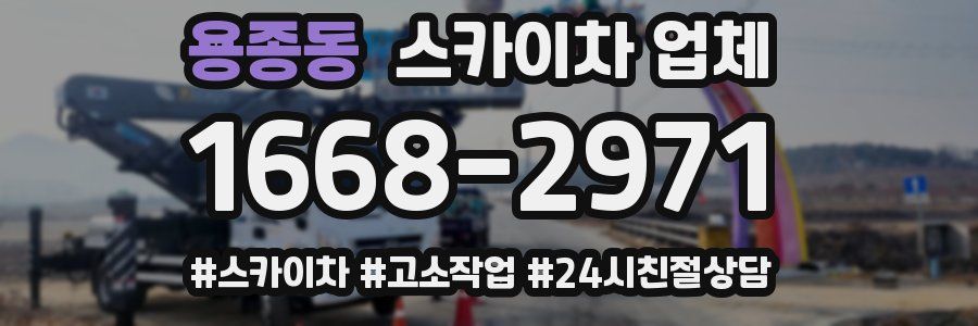 용종동 스카이차 업체