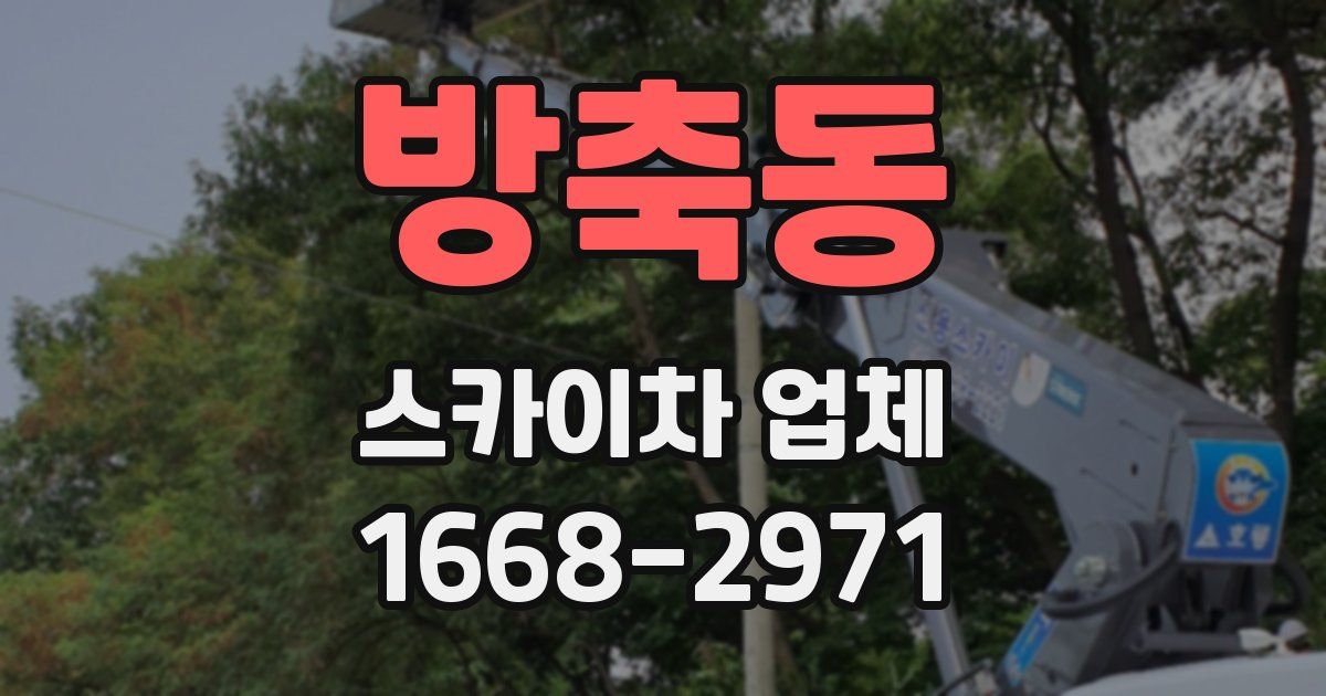 방축동 스카이차 업체