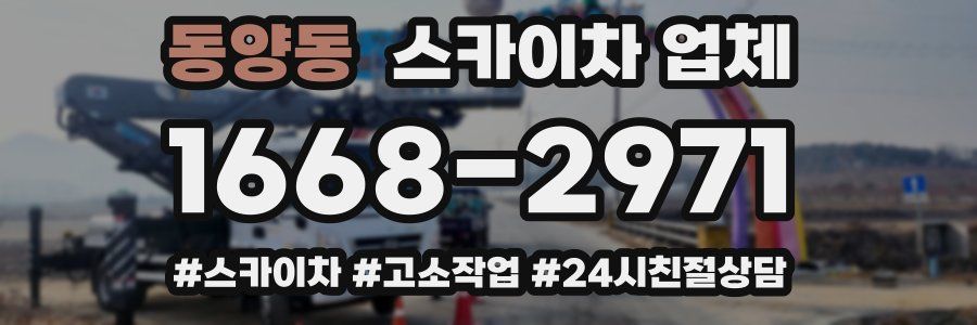 동양동 스카이차 업체