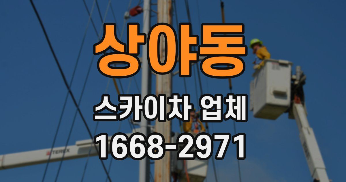 상야동 스카이차 업체
