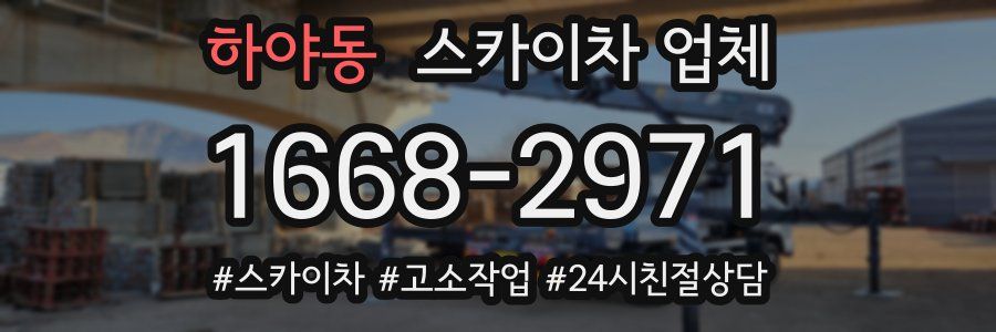 하야동 스카이차 업체