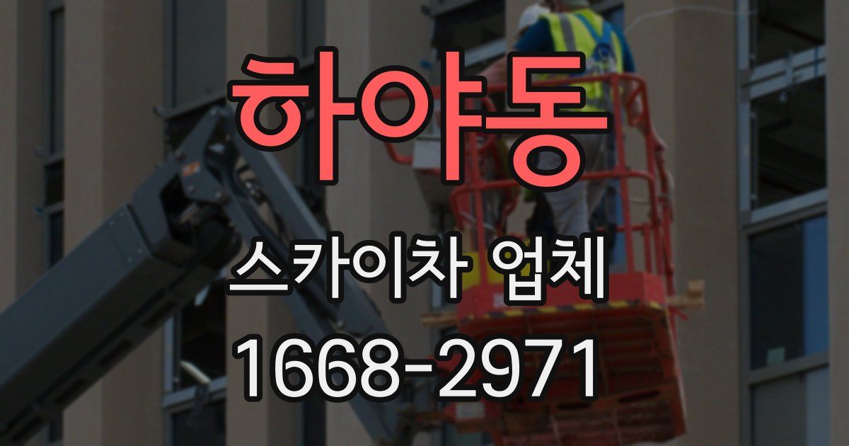 하야동 스카이차 업체