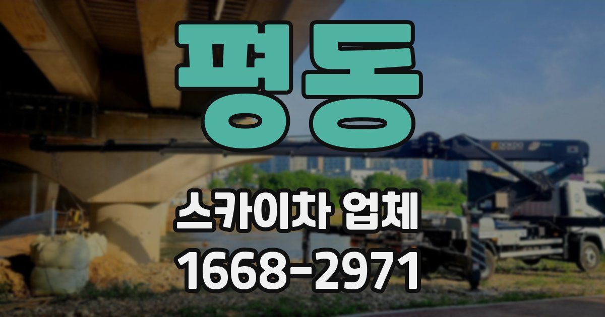 평동 스카이차 업체