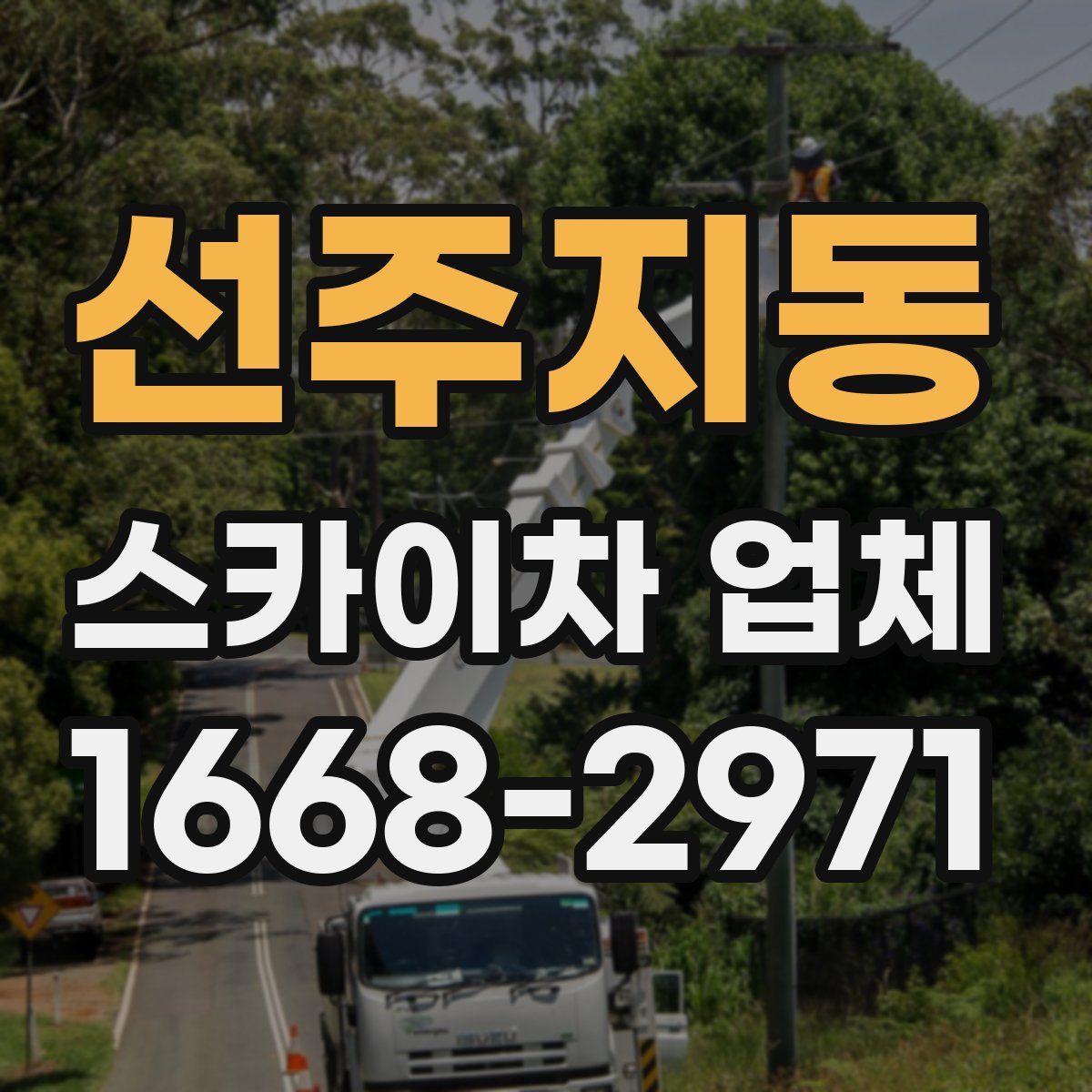 선주지동 스카이차 업체
