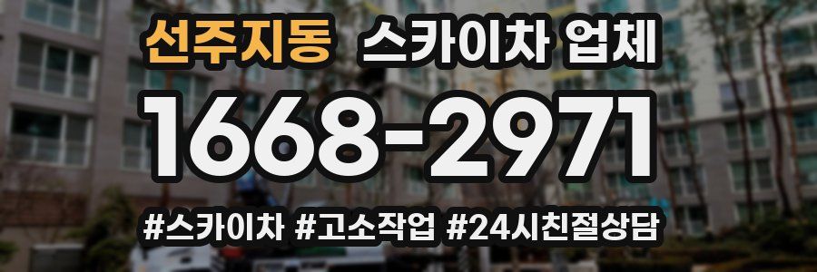 선주지동 스카이차 업체