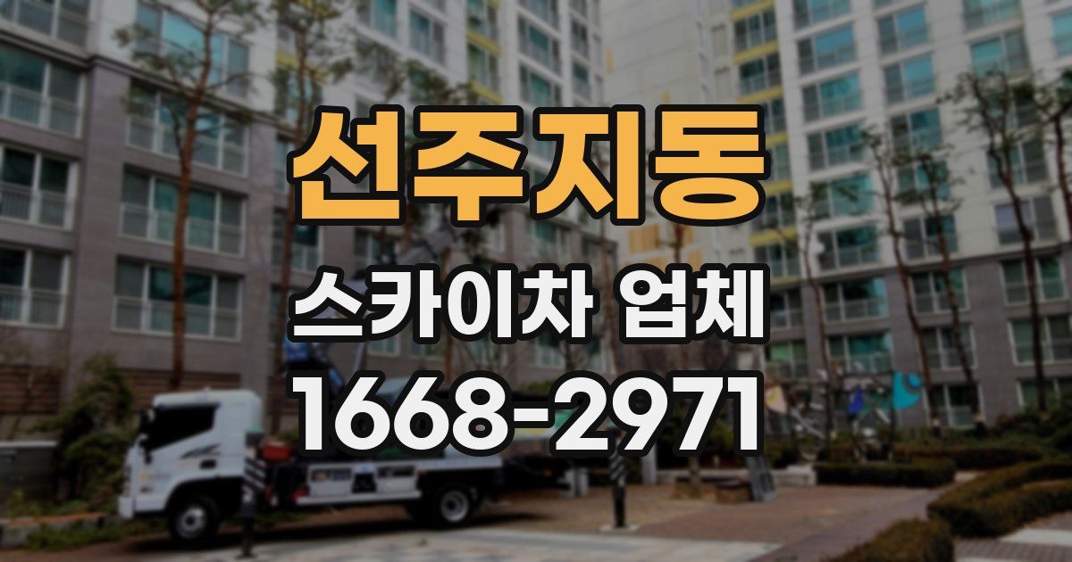 선주지동 스카이차 업체