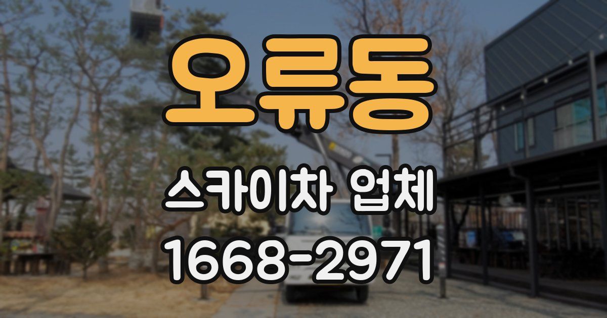 오류동 스카이차 업체