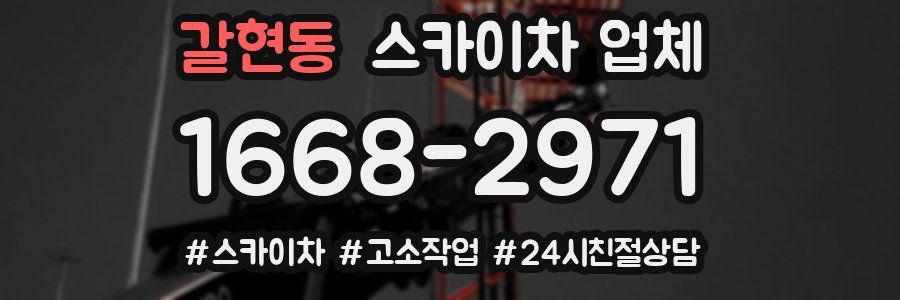 갈현동 스카이차 업체