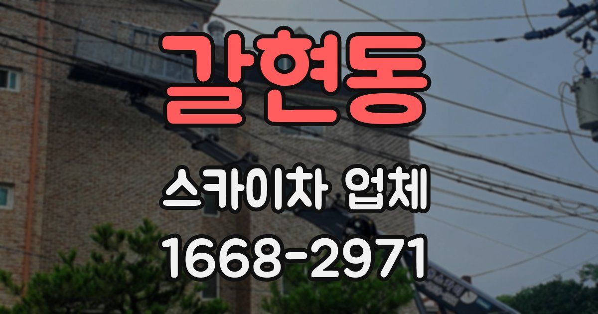 갈현동 스카이차 업체