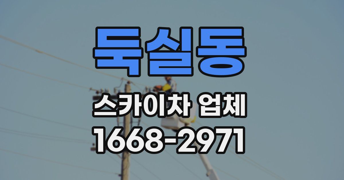 둑실동 스카이차 업체