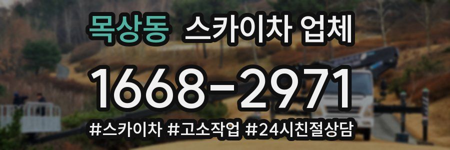 목상동 스카이차 업체