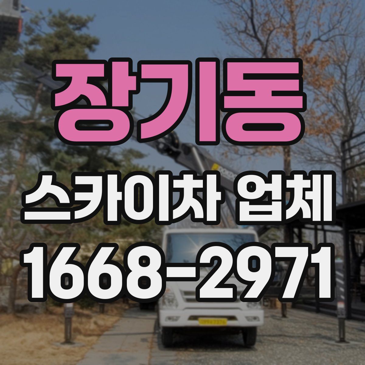 장기동 스카이차 업체