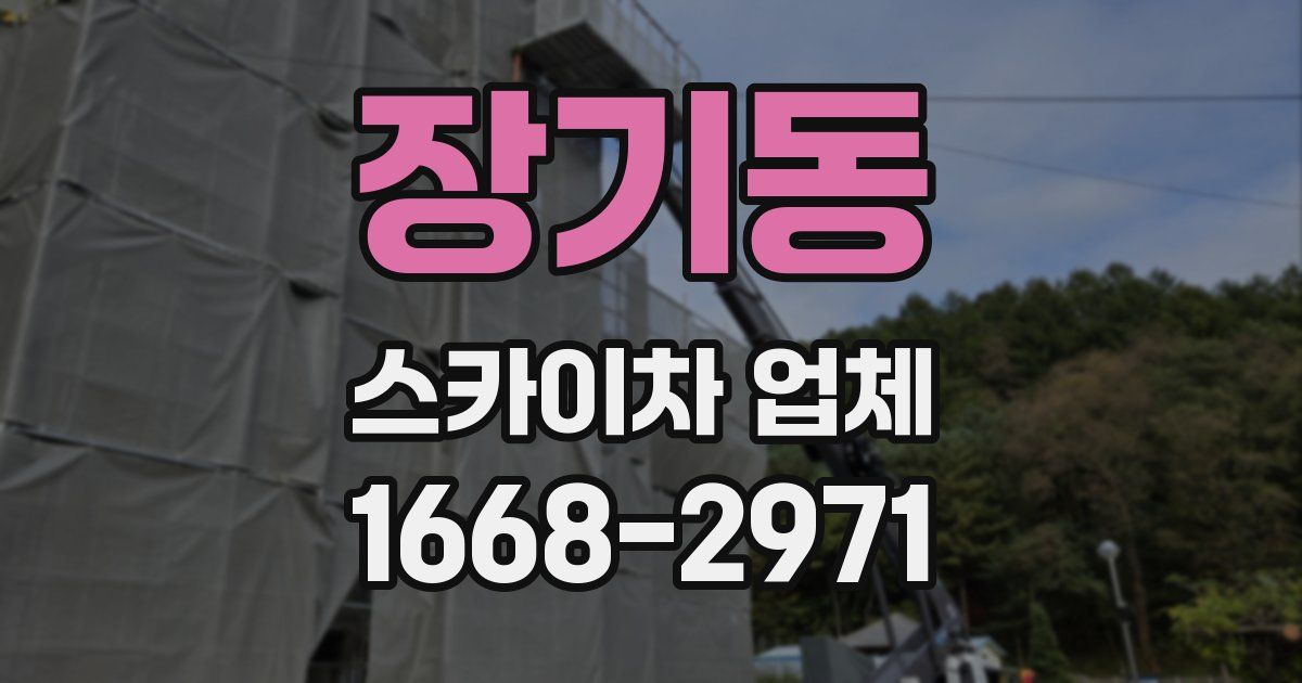 장기동 스카이차 업체