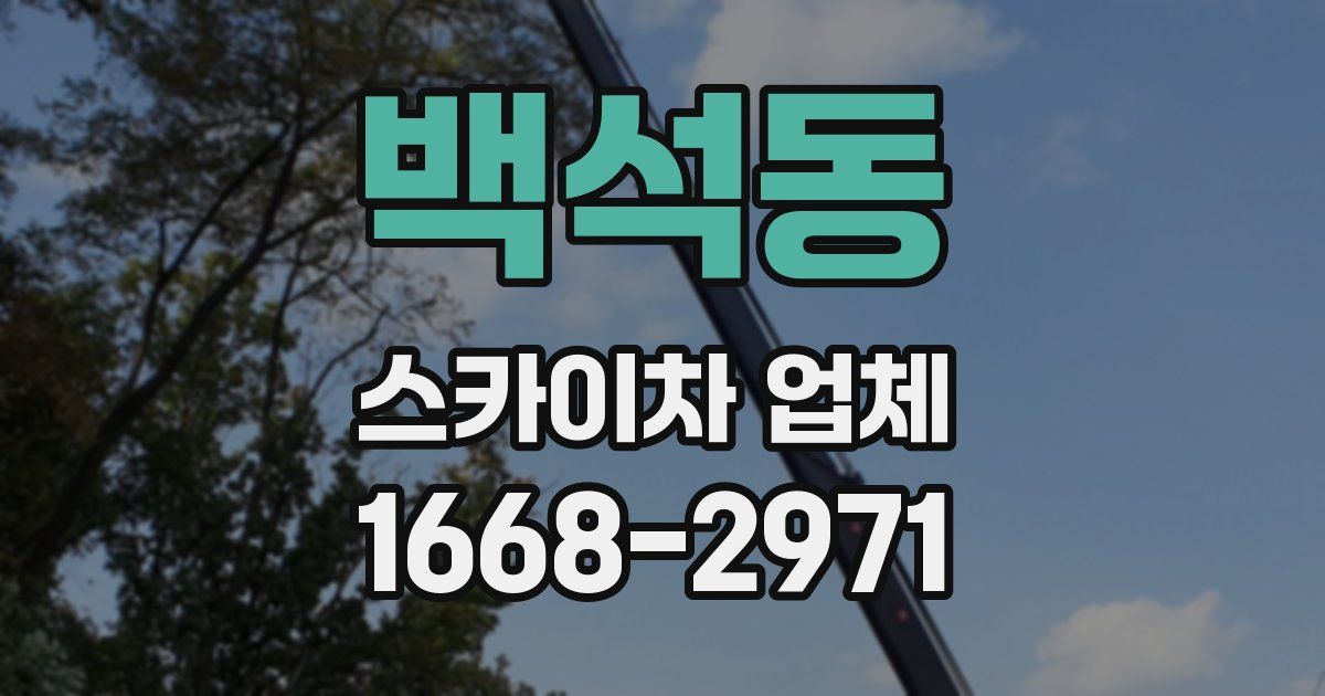 백석동 스카이차 업체