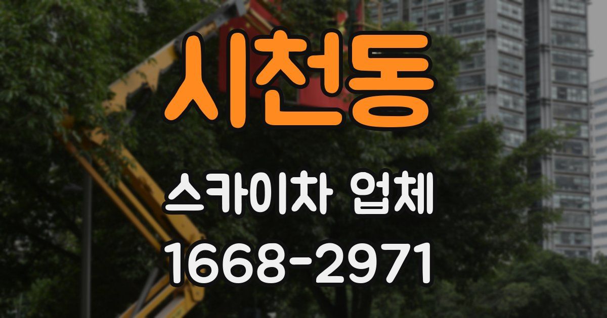 시천동 스카이차 업체