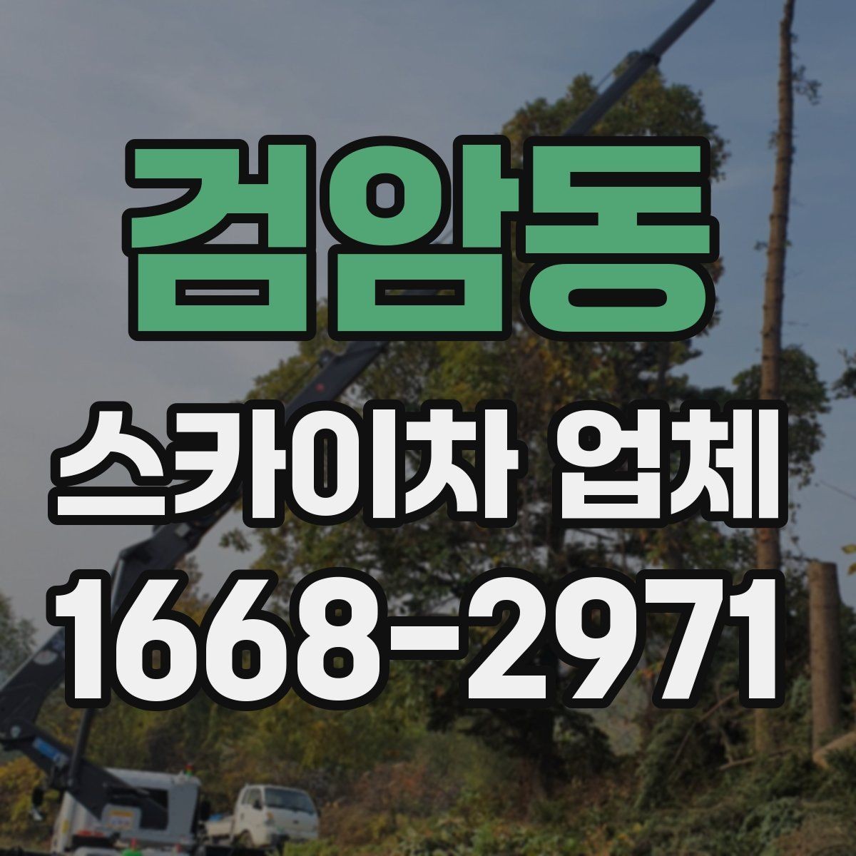 검암동 스카이차 업체 선택과정에서 놓치면 안 되는 부분