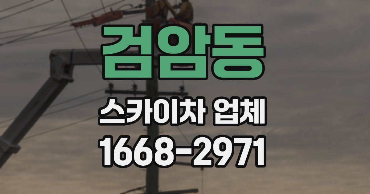검암동 스카이차 업체