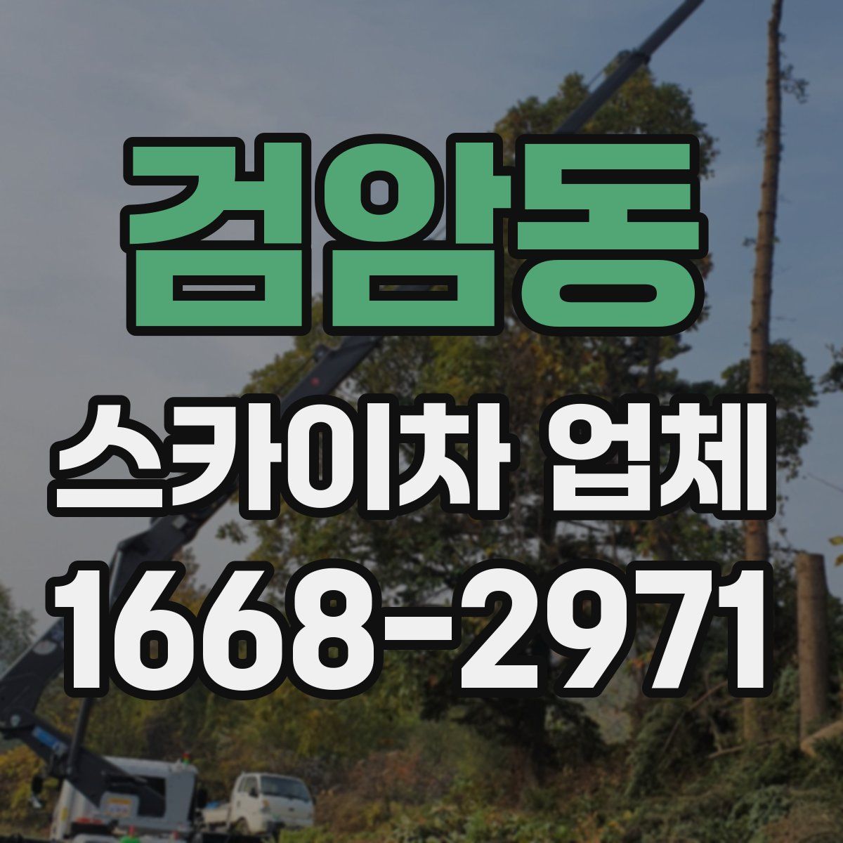 검암동 스카이차 업체