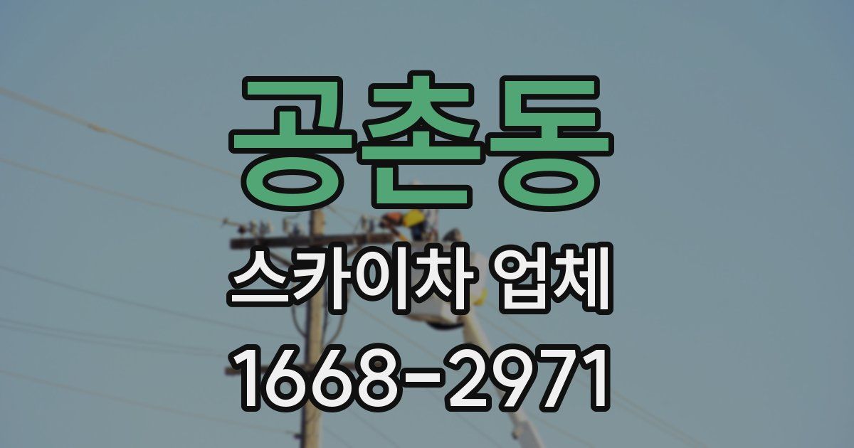 공촌동 스카이차 업체