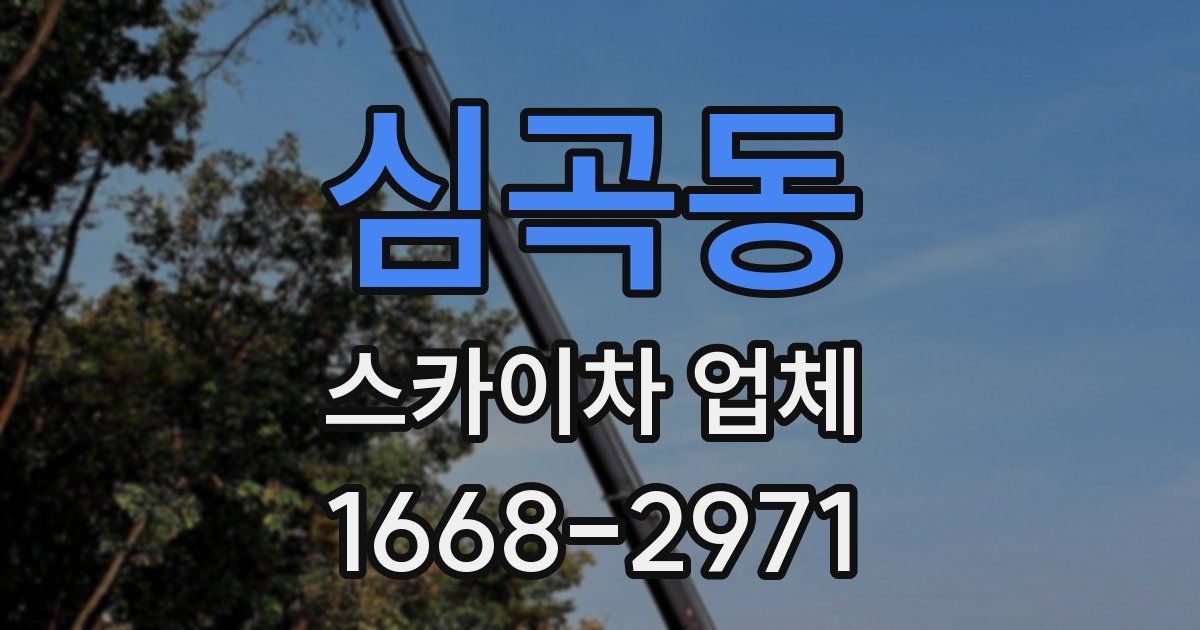 심곡동 스카이차 업체
