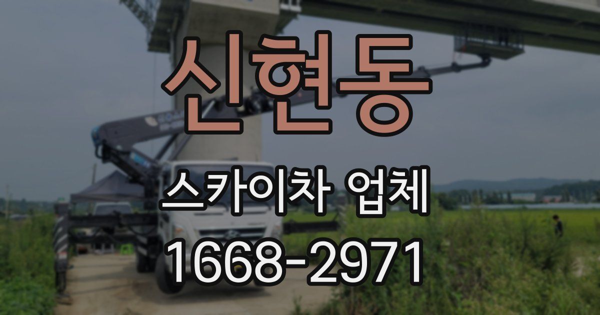 신현동 스카이차 업체