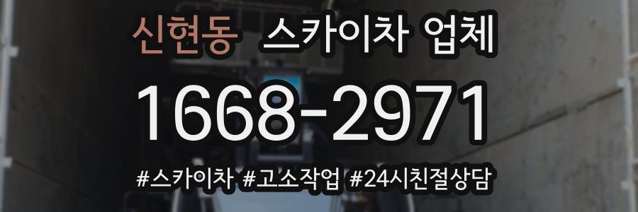 신현동 스카이차 업체