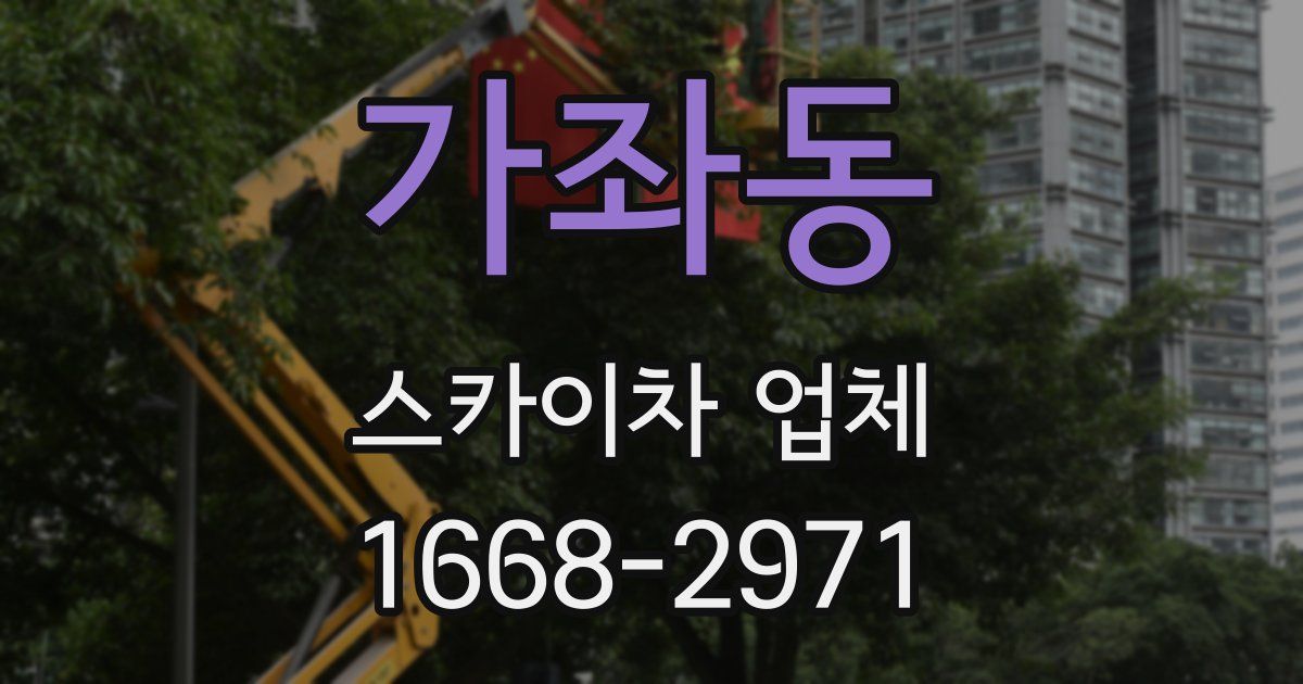 가좌동 스카이차 업체