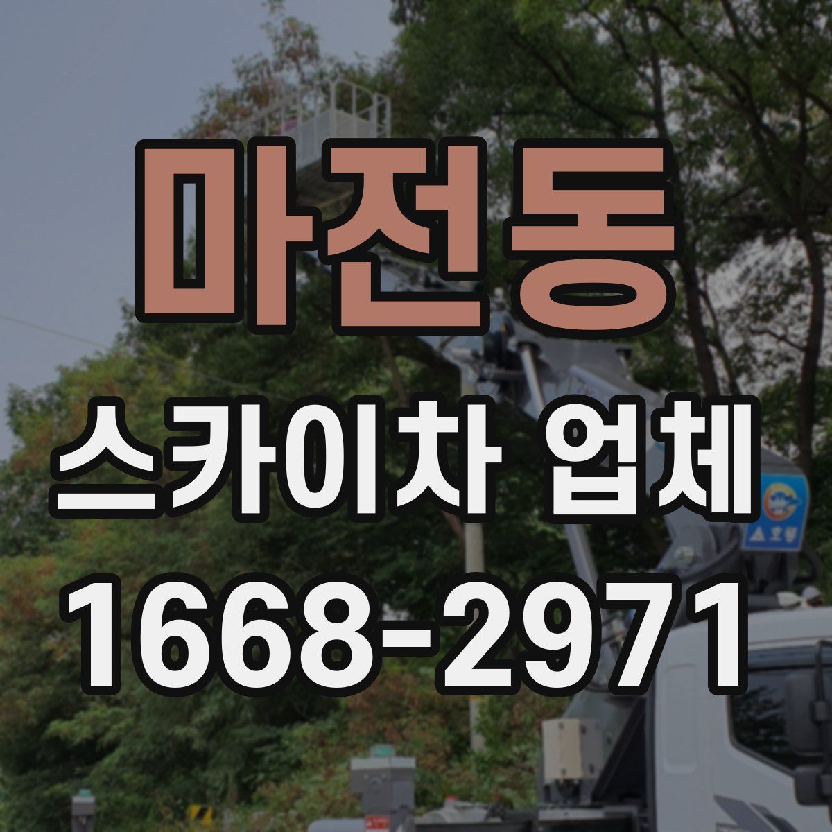 마전동 스카이차 업체