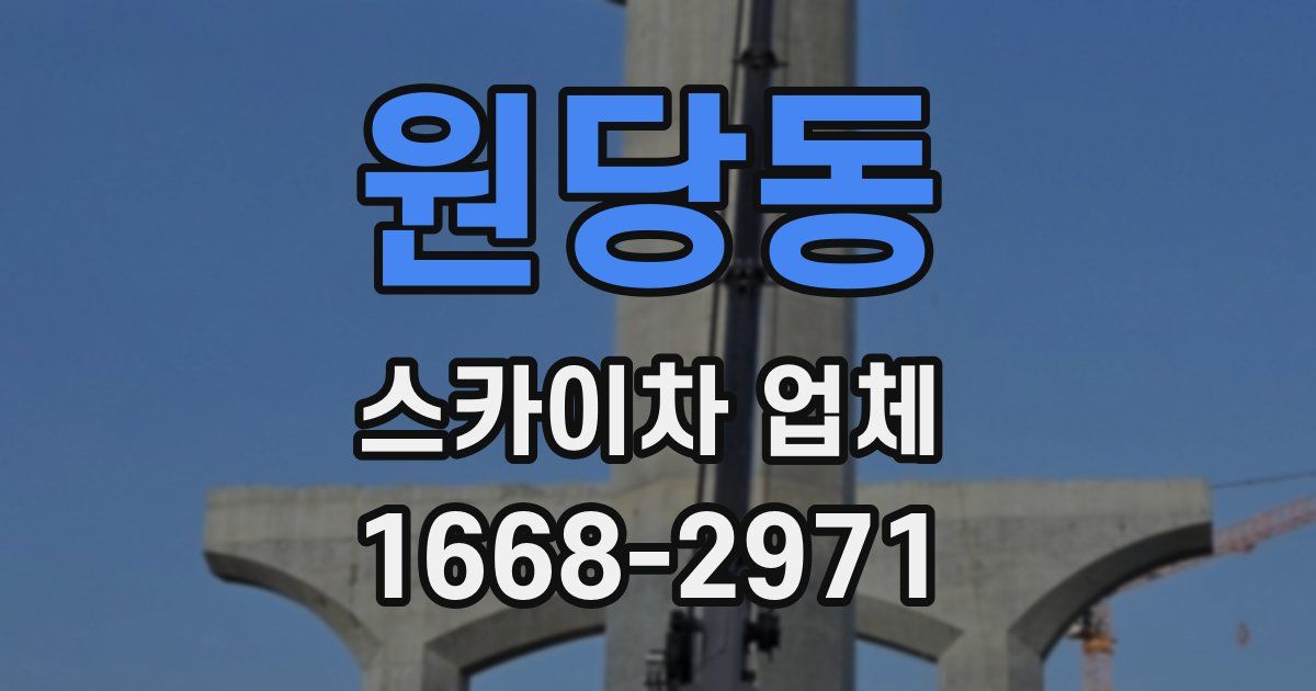 원당동 스카이차 업체