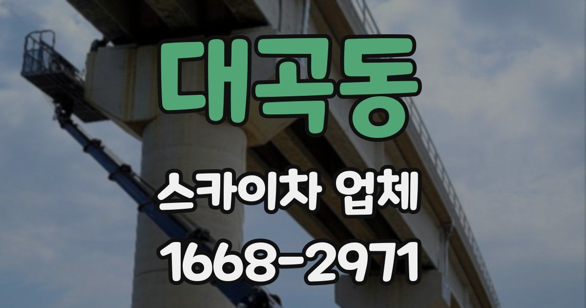 대곡동 스카이차 업체