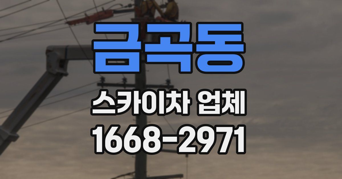 금곡동 스카이차 업체