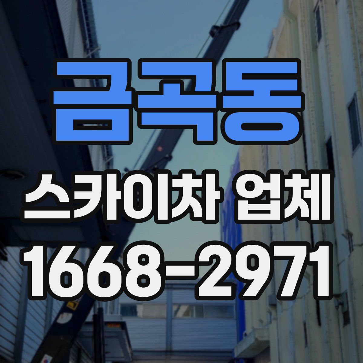 금곡동 스카이차 업체