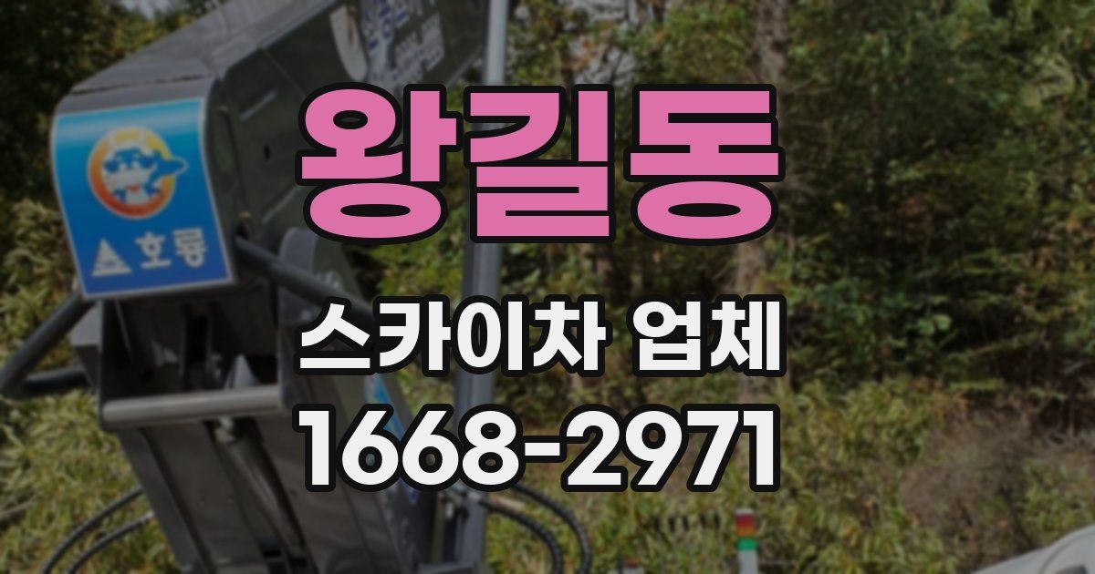 왕길동 스카이차 업체