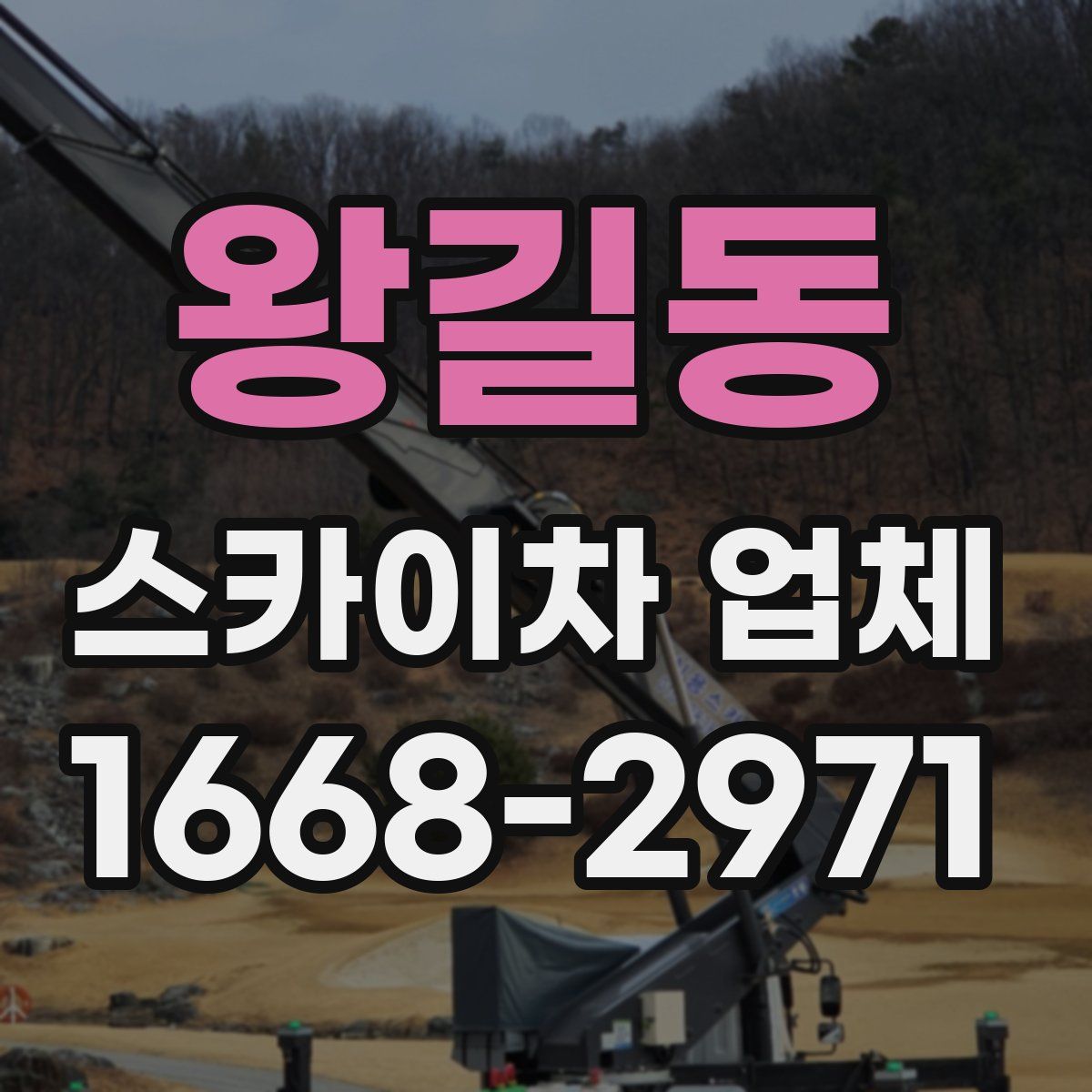 왕길동 스카이차 업체