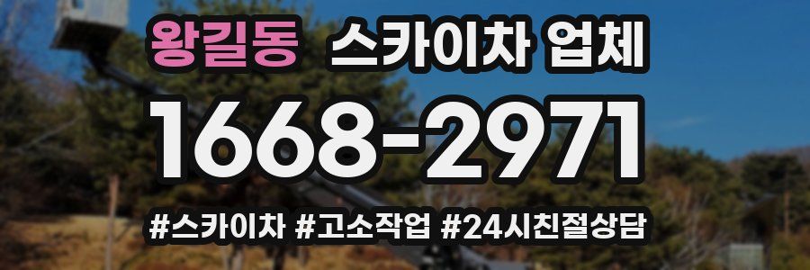 왕길동 스카이차 업체
