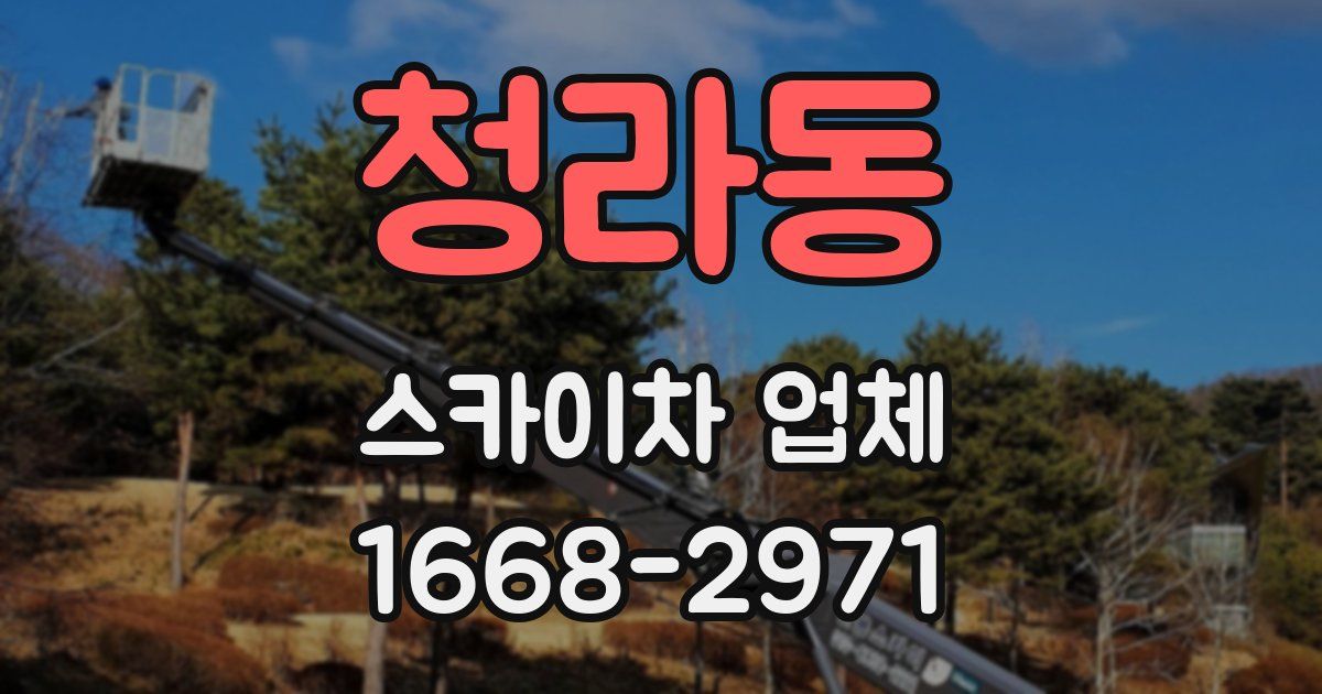 청라동 스카이차 업체