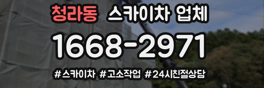 청라동 스카이차 업체