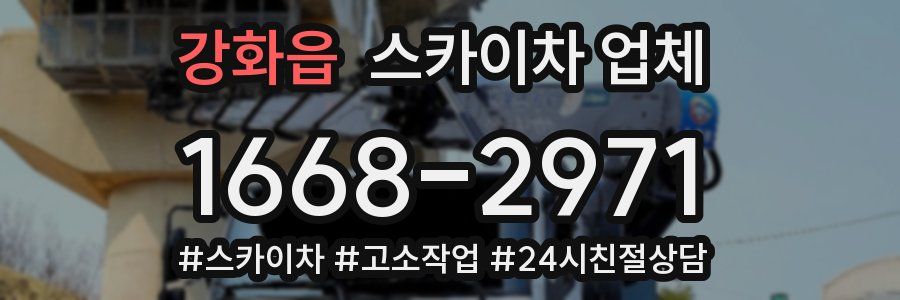 강화읍 스카이차 업체