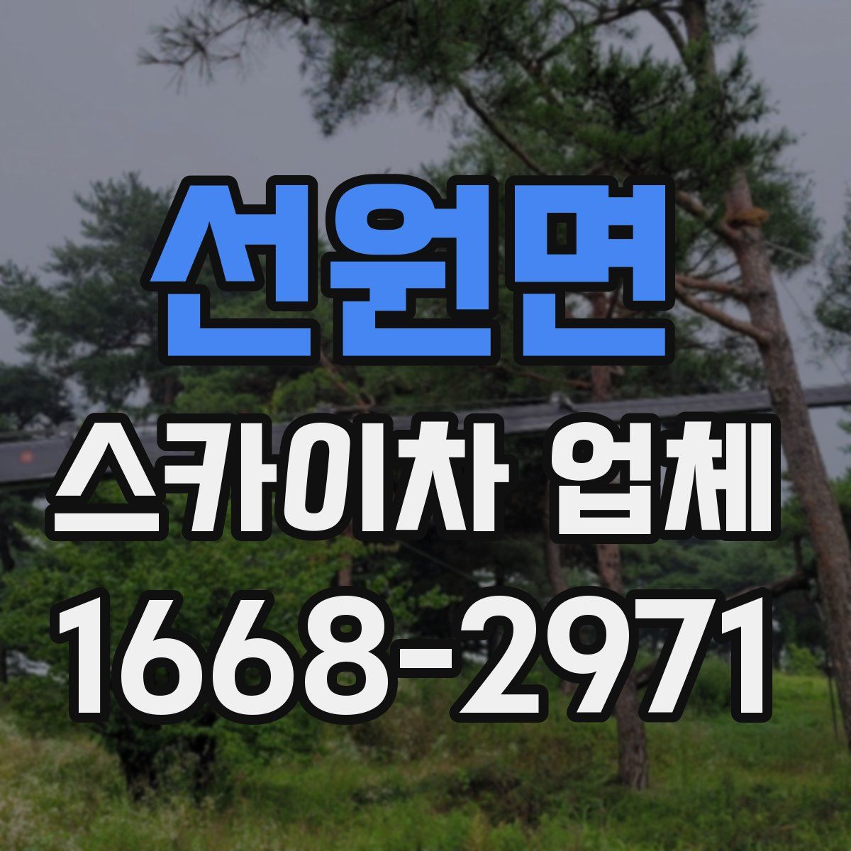 선원면 스카이차 업체
