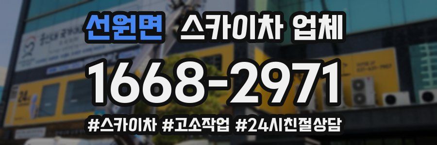선원면 스카이차 업체