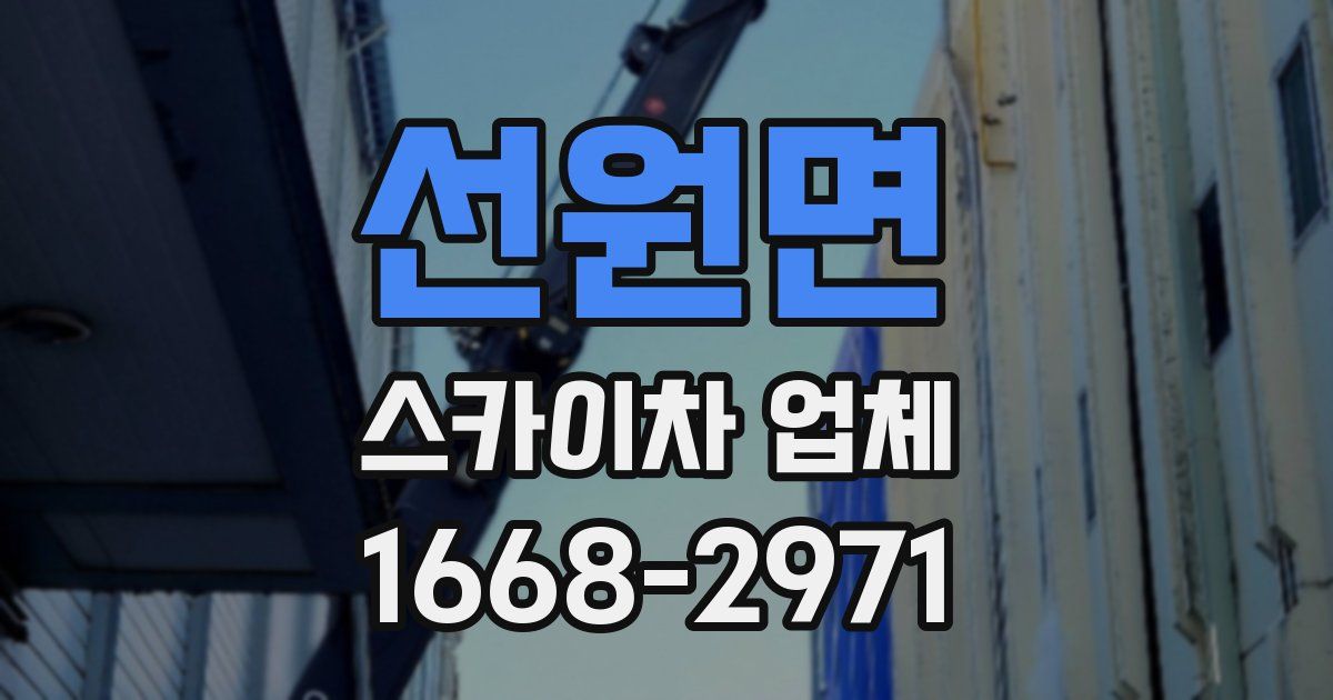 선원면 스카이차 업체