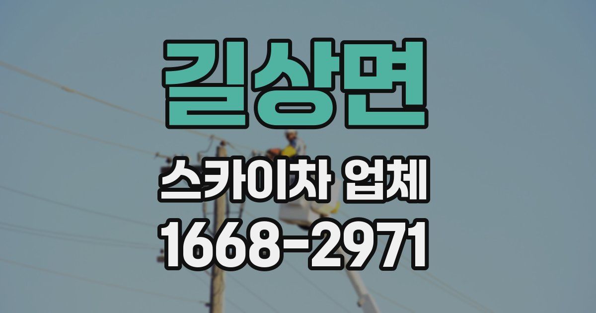 길상면 스카이차 업체