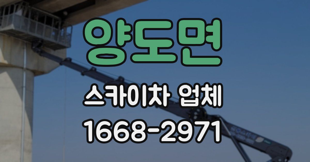 양도면 스카이차 업체