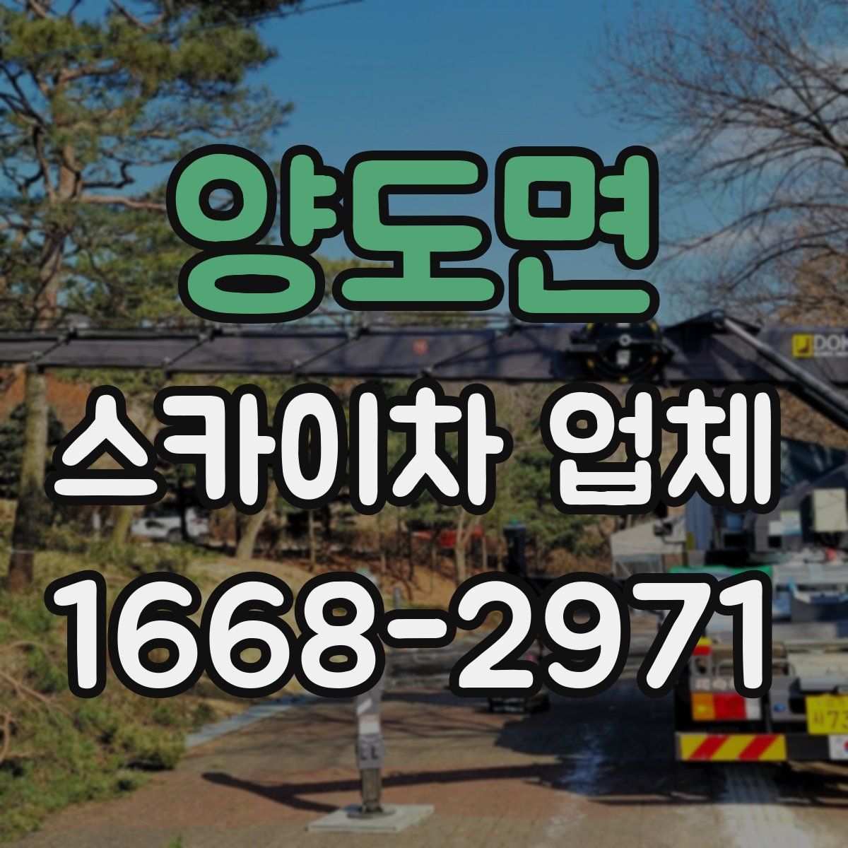 양도면 스카이차 업체
