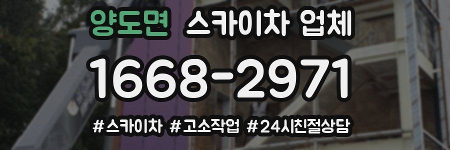 양도면 스카이차 업체